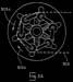Torq_Star(fig3_a)